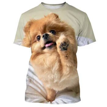 Новост 2023, гореща Лятна разпродажба, Сладки и забавни мъжки и дамски тениски с 3D печат, тениски с изображение на кучето шпиц високо качество, върхове